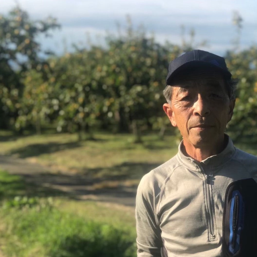 【皇室献上柿】 会津みしらずのあんぽ柿 6個入