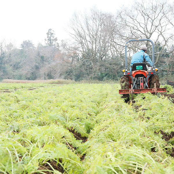 キャロット&オレンジジュース160g(20本入1ケース)