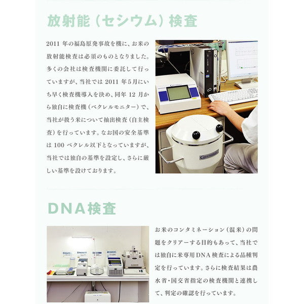 令和6年産 山形県産はえぬき 15kg(5kg×3袋)