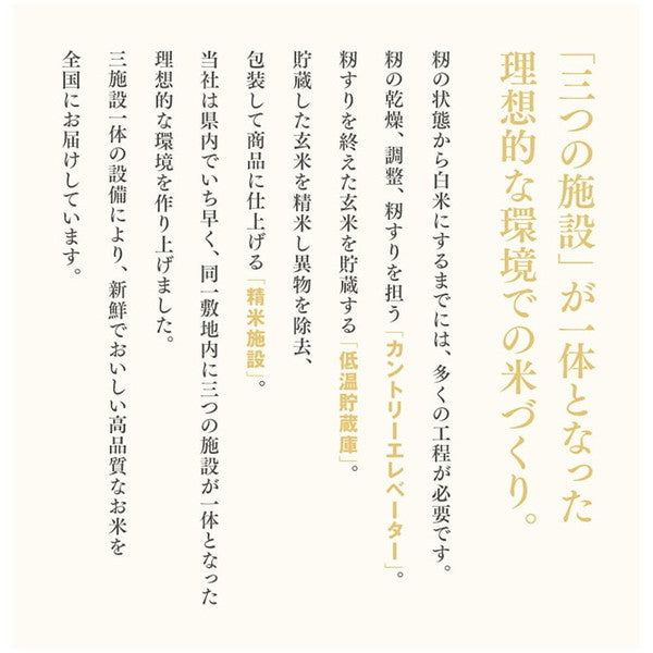 令和6年産 山形県産つや姫 無洗米 10kg(5kg×2袋)