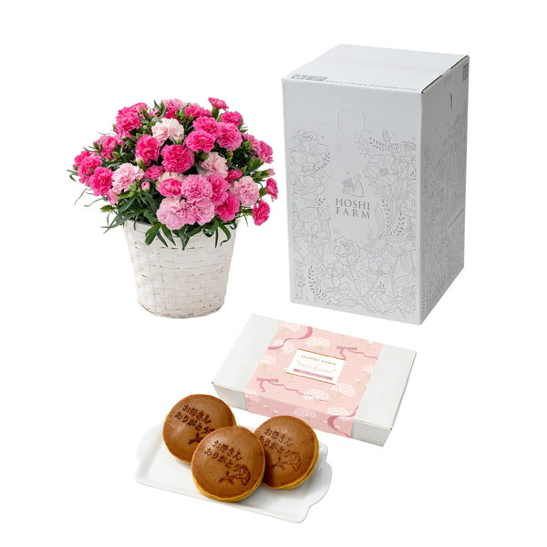 【母の日ギフト】Mホシファーム カーネーション&徳島なると金時のどら焼き