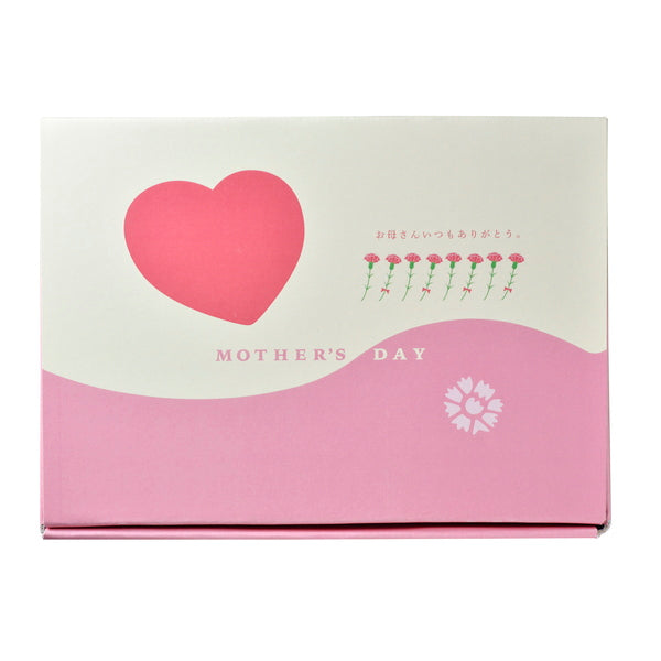 【母の日ギフト】鹿児島「小田口屋」お母さん想いのさつま揚げ