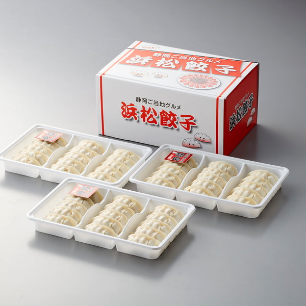 【お歳暮熨斗】静岡B級グルメ浜松餃子45粒