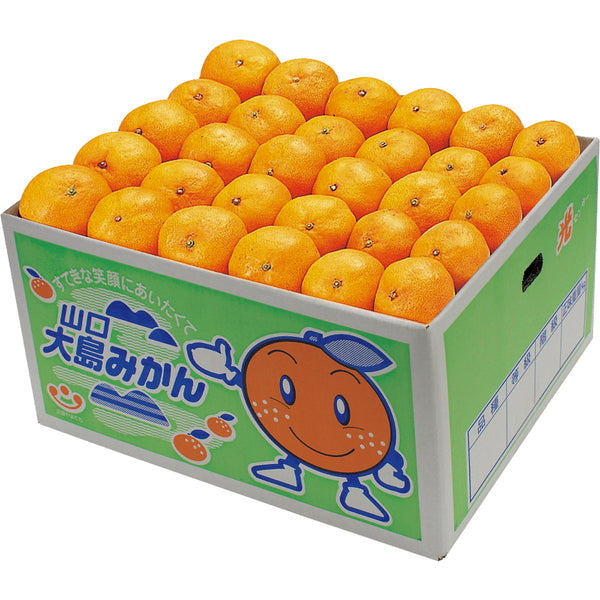 【お歳暮熨斗】山口大島みかん(秀)