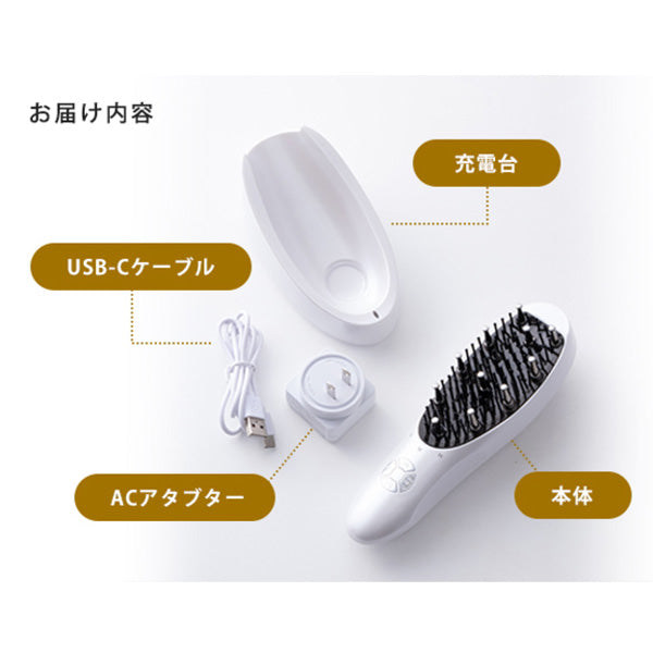 アデランス DoRAISE(ドゥライズ)電気リフトブラシ(EMS美顔器)