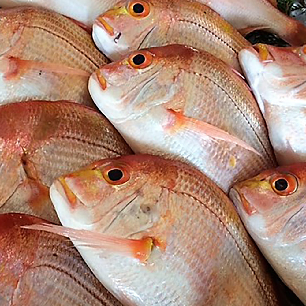 【ギフトカード】出水田鮮魚 干物セットB