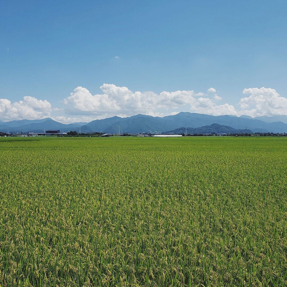 JAてんどうフーズ ラ・フランスゼリー【12個詰め合わせ】