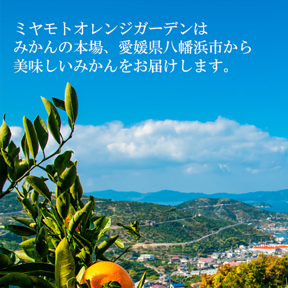 「ミヤモトオレンジガーデン」塩みかんドレッシング・塩みかんギフトセット【4種詰め合わせ】