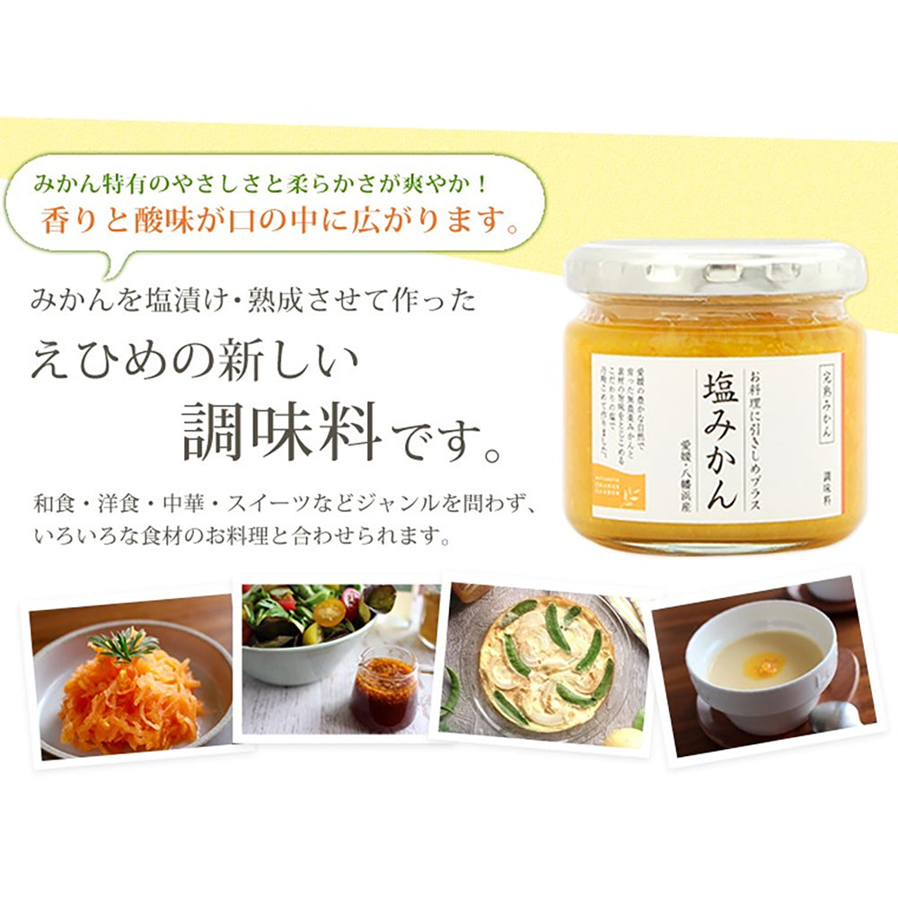「ミヤモトオレンジガーデン」塩みかんドレッシング・塩みかんギフトセット【4種詰め合わせ】