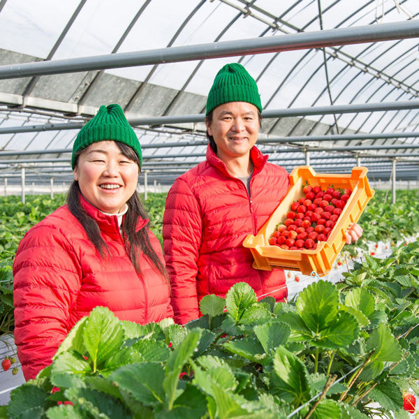【母の日ギフト】博多あまおう たっぷり苺のアイス