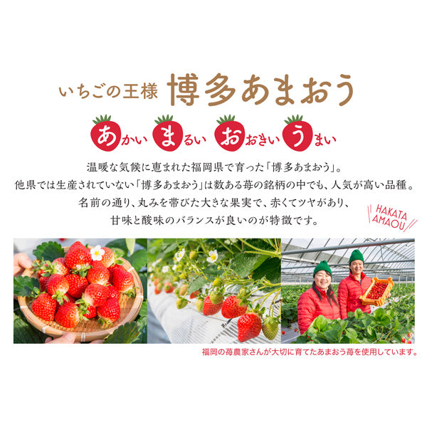【母の日ギフト】博多あまおうのこだわりアイス