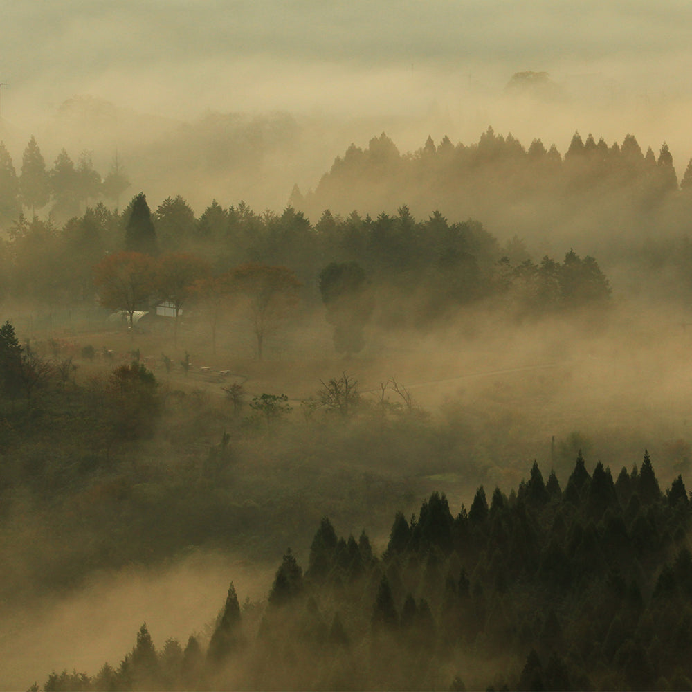 京蕎麦 丹波ノ霧 そば三昧セットA【半生蕎麦2人前・霧ノ蕎麦茶・玄そばごはんの素】