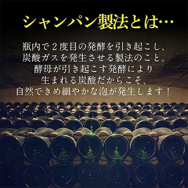 シャンパン製法 辛口泡6本セット【クール便】