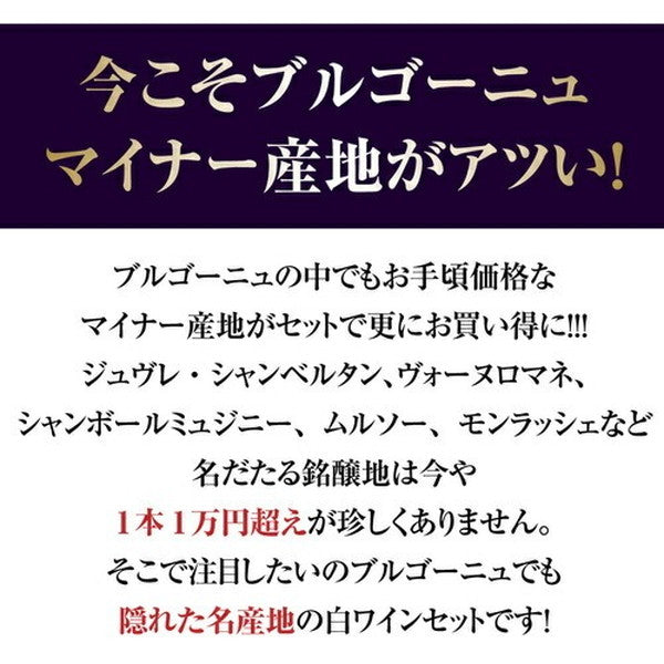 マイナーブルゴーニュ白3本セット【常温便】