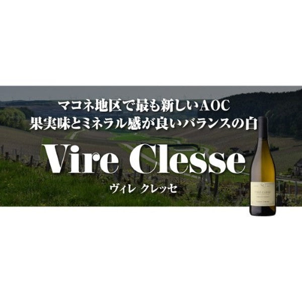 マイナーブルゴーニュ白3本セット【クール便】