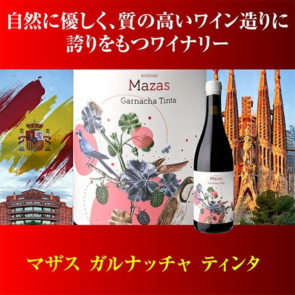 情熱のスペイン赤ワイン9本セット【クール便】