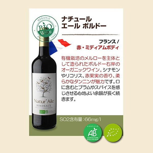 オーガニックワイン 10本セット【常温便】