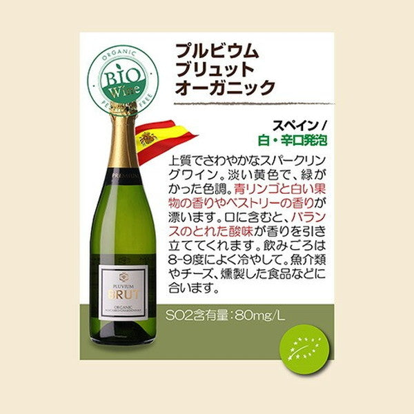 オーガニックワイン 10本セット【常温便】