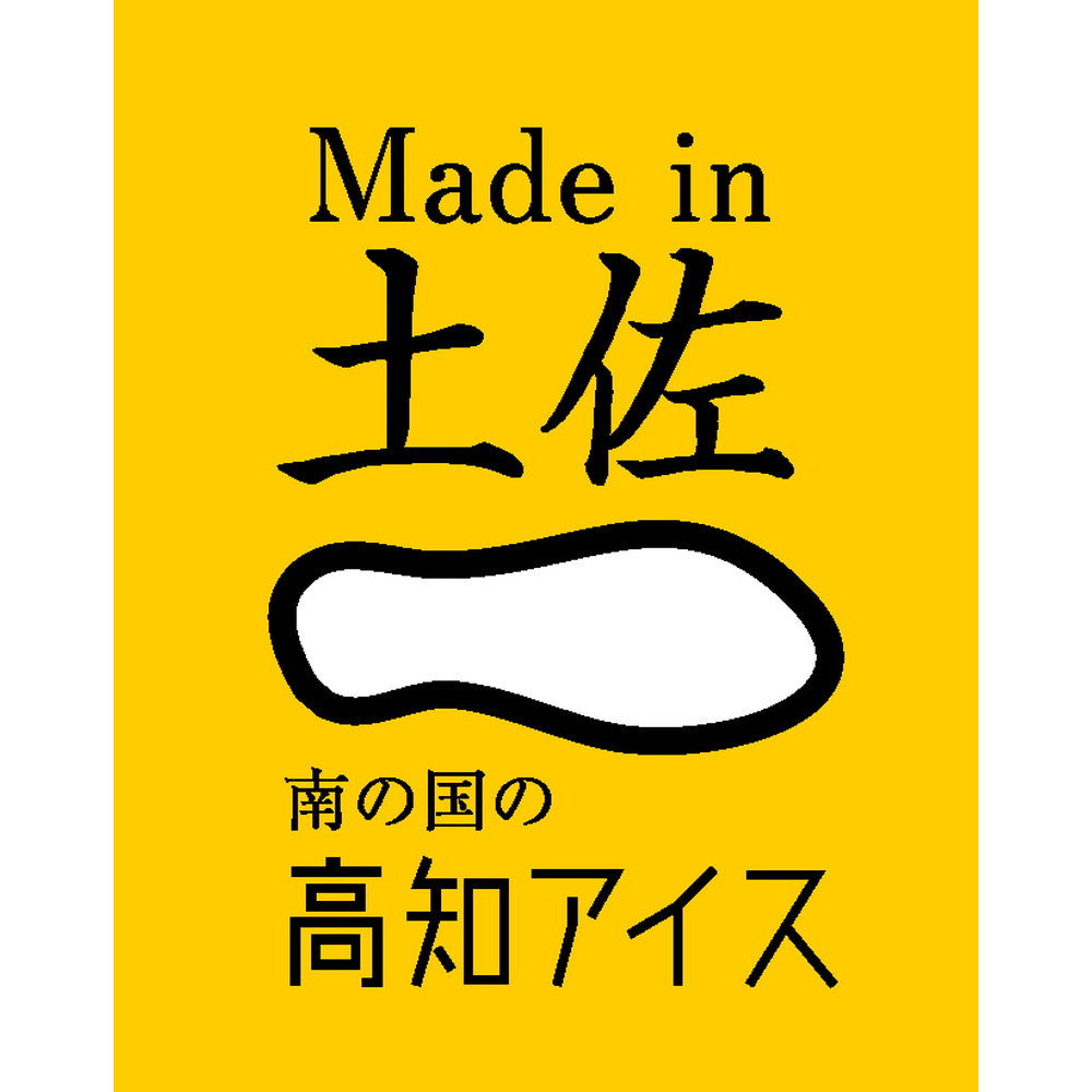 高知 Made in 土佐「南の国の高知アイス」高知アイスセット6個(シャーベット3種 x 各1個 アイスクリン x 3個)