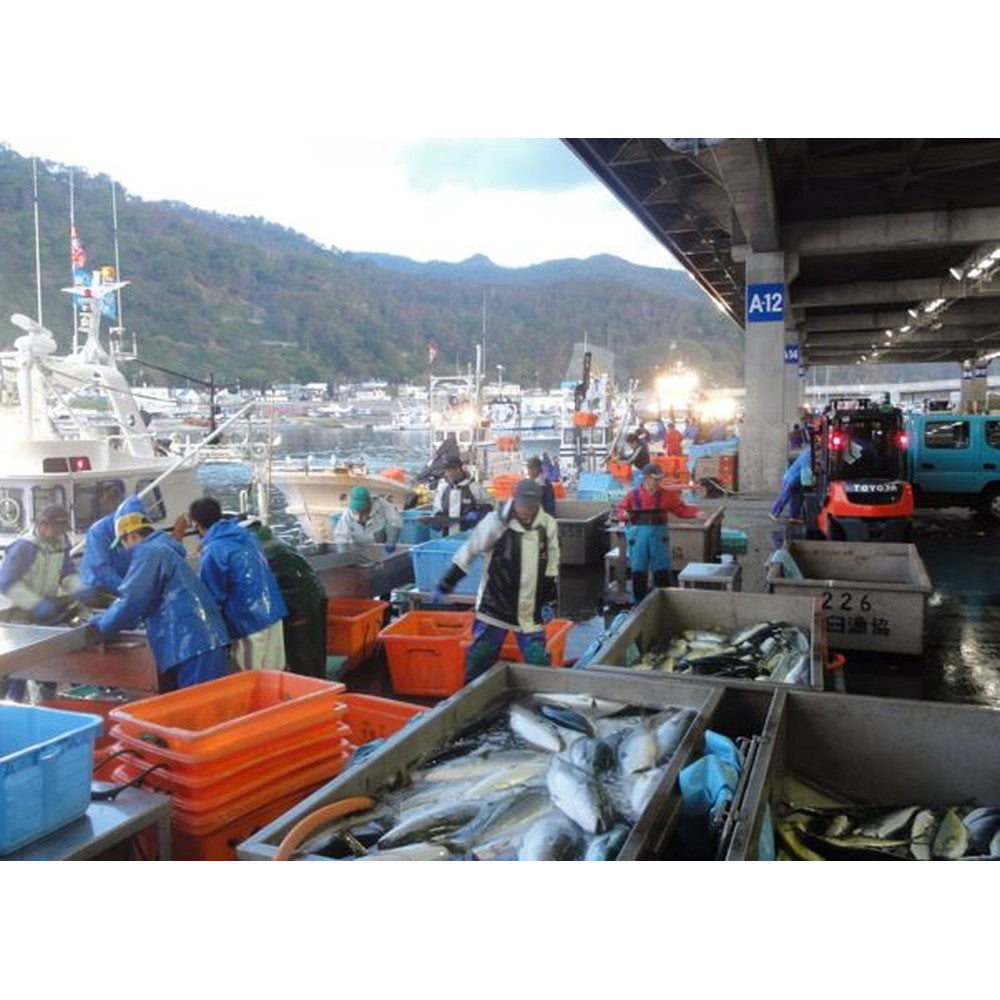 北海道 知床羅臼 鮭のちゃんちゃん焼き味噌たれつき【秋鮭味噌漬切身 x 4切】