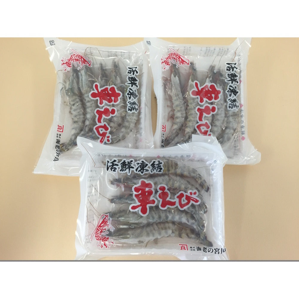 熊本・沖縄 活鮮凍結 活き〆冷凍車海老【車海老約5尾 x 3パック】