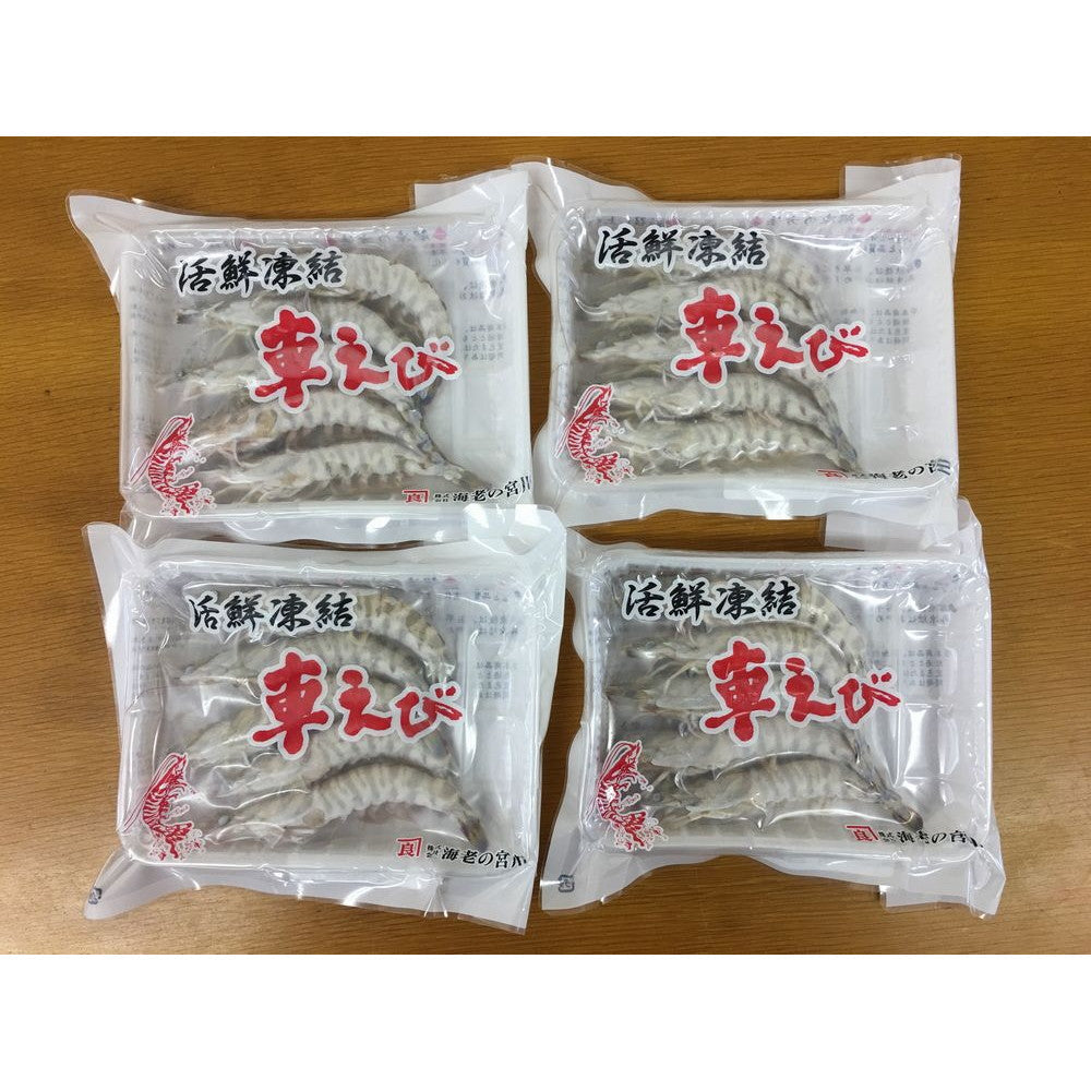 熊本・沖縄 活鮮凍結 活き〆冷凍車海老【車海老約5尾 x 4パック】