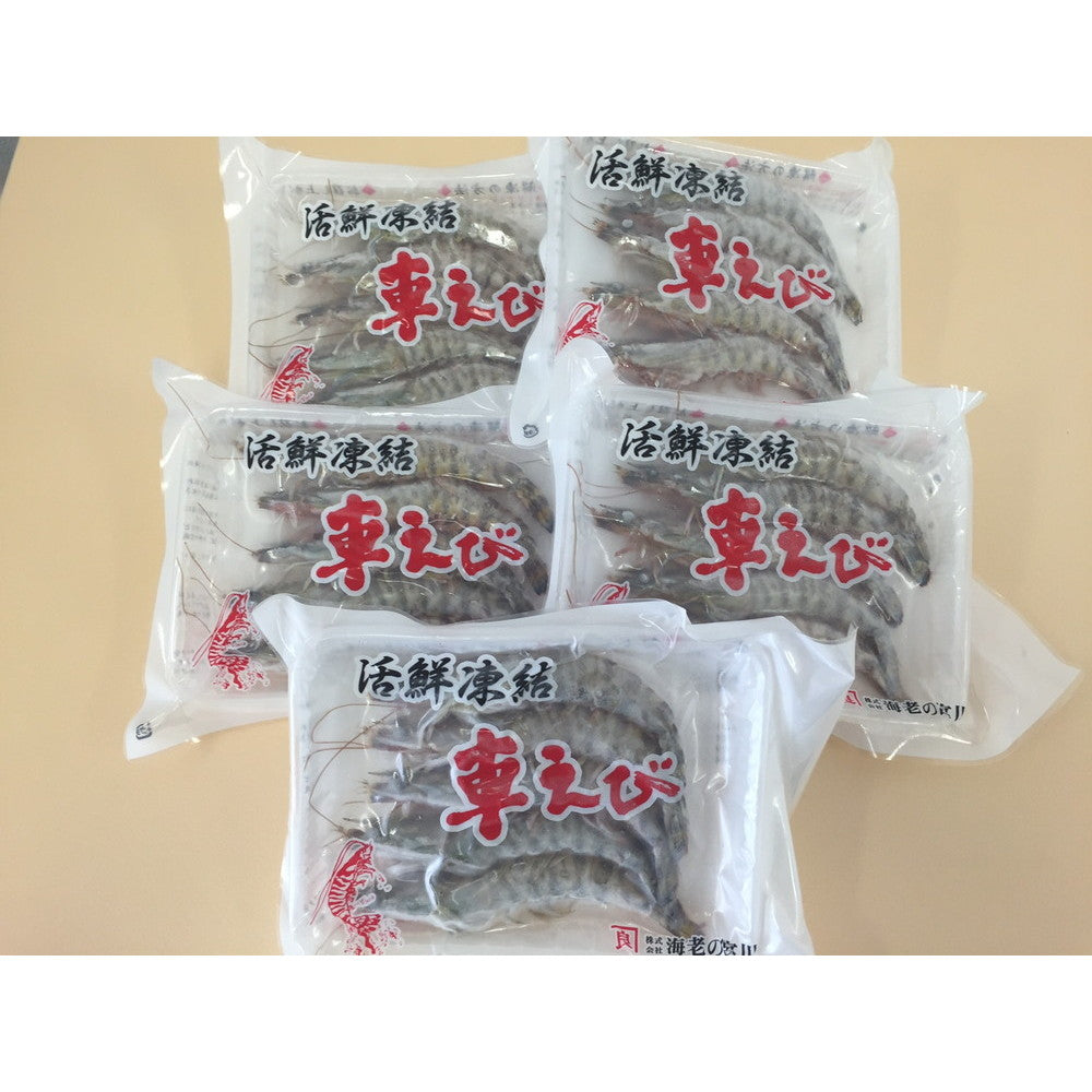 【母の日ギフト】熊本・沖縄 活鮮凍結 活き〆冷凍車海老 車海老×5パック (1パックに、5尾・計約100g入)