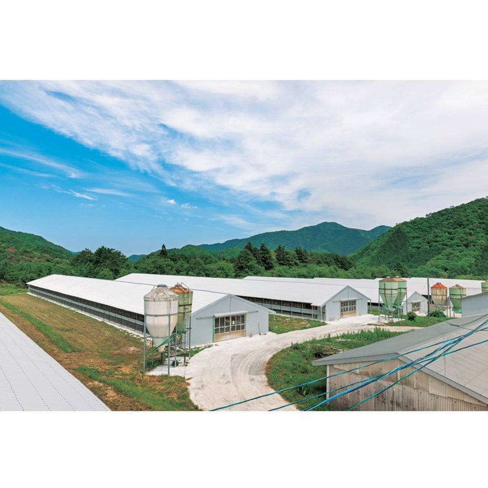 秋川牧園の卵でつくったたまご村プリン4個