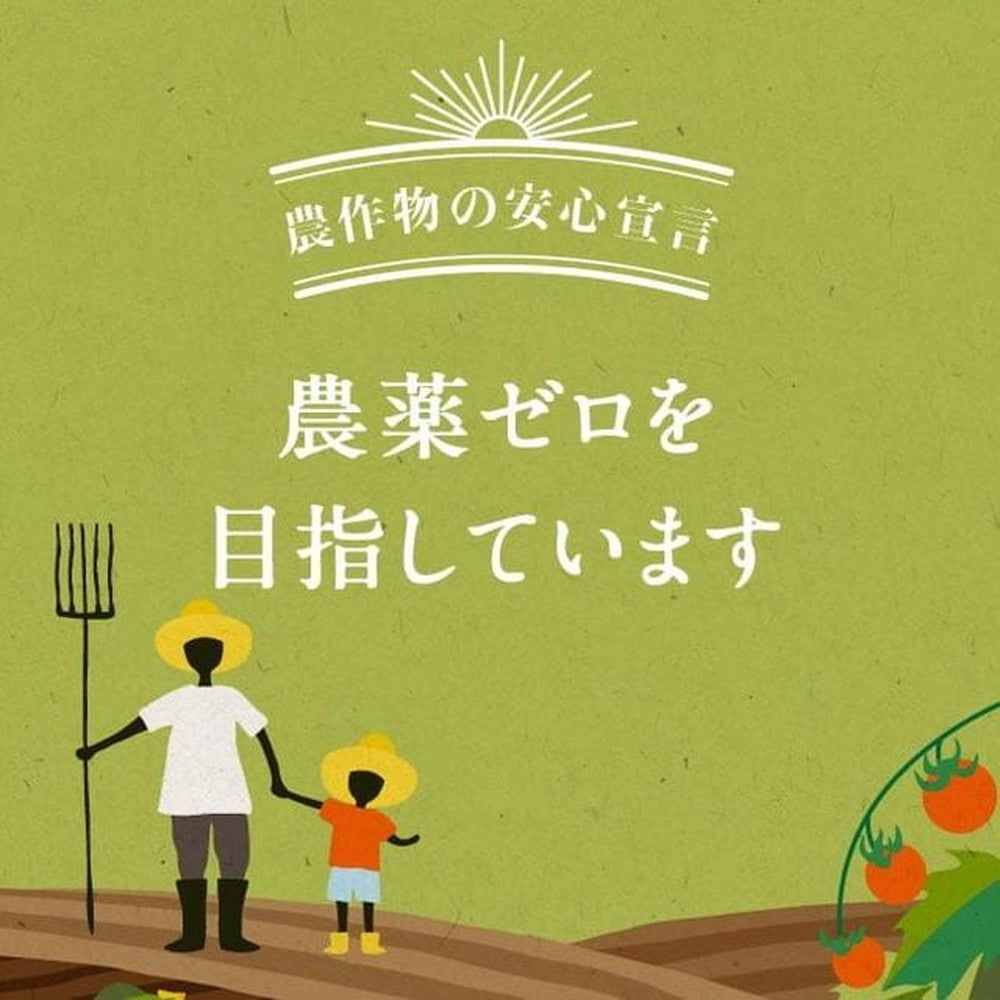 【ギフトカード】Kit Oisixのある生活セット Rosemary (1種2人前x2種)
