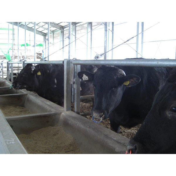 【伊賀牛】シャトーブリアンステーキ (150g×3枚）【合計450g】