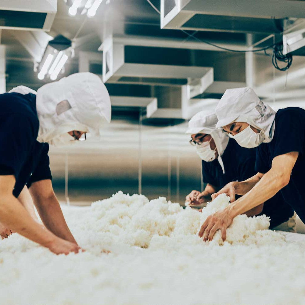 【ギフトカード】玉乃光酒造 純米大吟醸 玉乃光 Black Label 1800ml