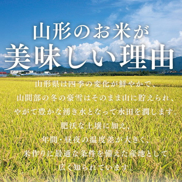 令和６年産 山形県産はえぬき 15kg(5kg×3袋）