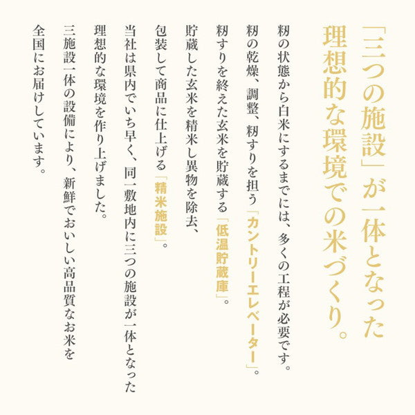 令和６年産 山形県産はえぬき 15kg(5kg×3袋）