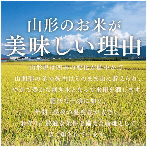 令和６年産 山形県産つや姫 無洗米 10kg(5kg×2袋）