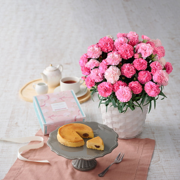 【母の日ギフト】Mホシファーム　カーネーション＆大人のチーズケーキ