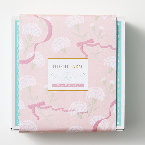 【母の日ギフト】Mホシファーム　カーネーション＆大人のチーズケーキ