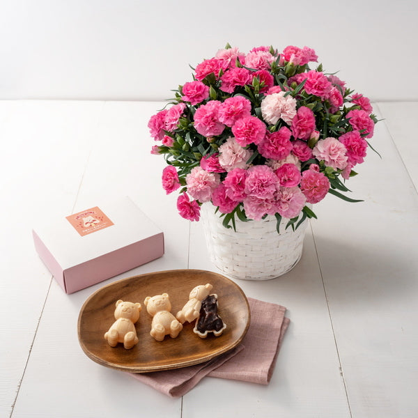 【母の日ギフト】Mホシファーム　カーネーション＆くまモナカ堂　くまの手作りあんバターモナカ３個