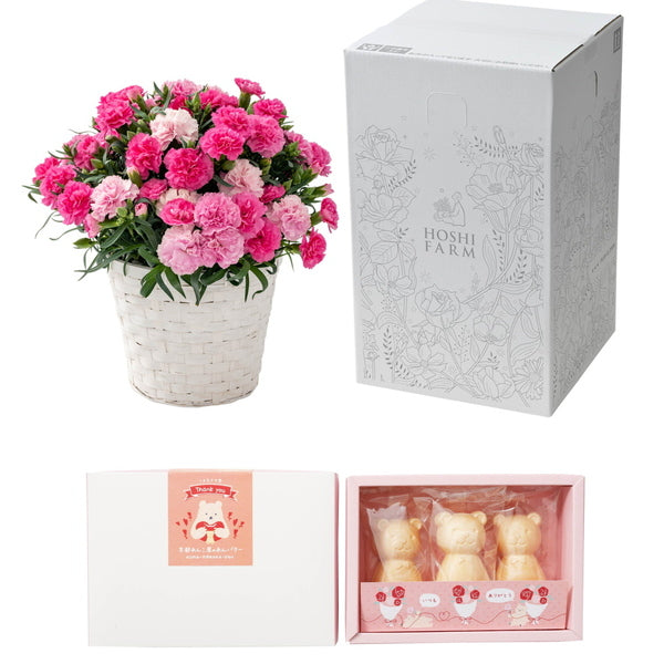 【母の日ギフト】Mホシファーム　カーネーション＆くまモナカ堂　くまの手作りあんバターモナカ３個