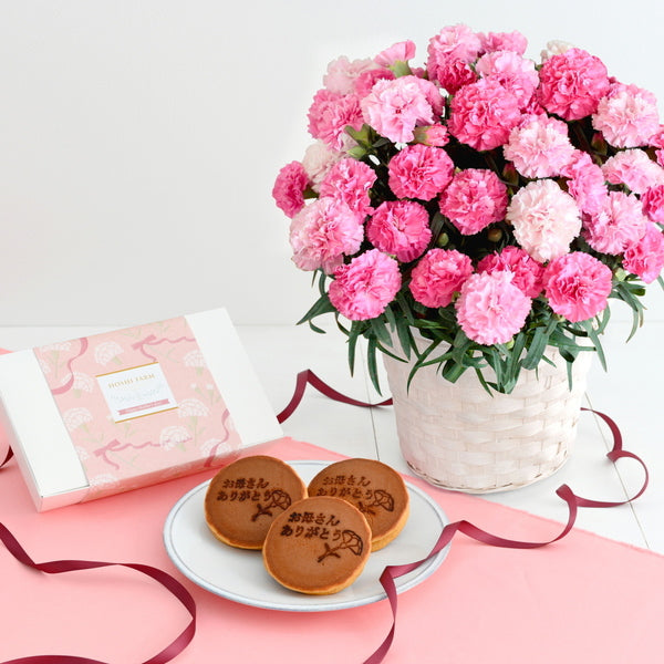 【母の日ギフト】Mホシファーム　カーネーション＆徳島なると金時のどら焼き