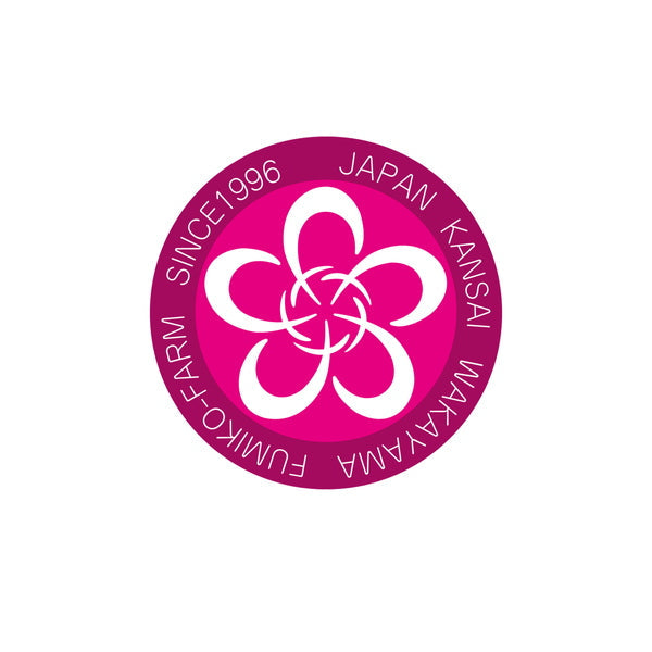 【母の日ギフト】ふみこ農園　フルーツスムージー［６本］