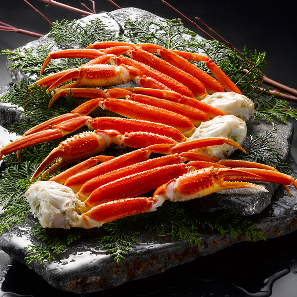 【お歳暮熨斗】ボイル本ずわいがに