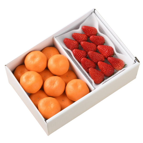 【お歳暮熨斗】いちごとみかん