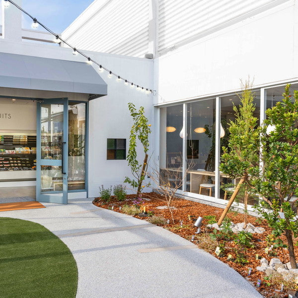 ホシフルーツ　あまおう苺のチーズケーキタルト　5個