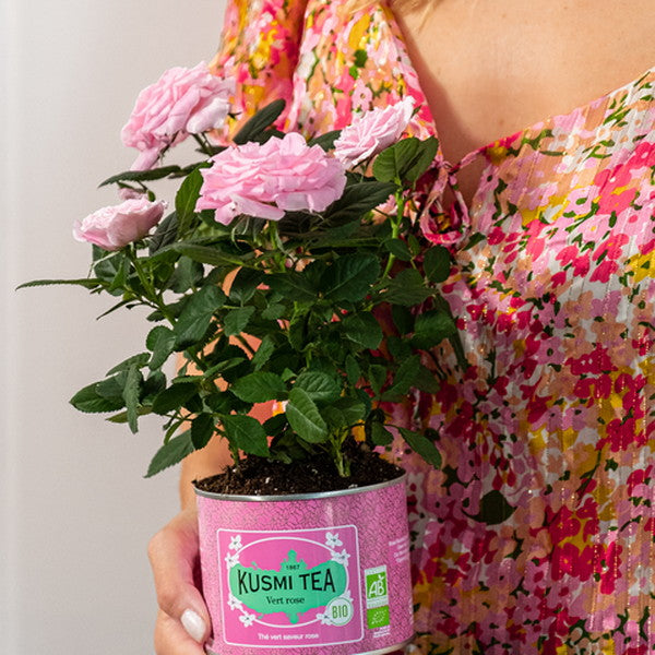 KUSMI TEA グリーンローズ 20ティーバッグ 2個セット