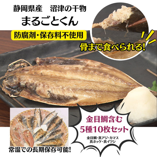 静岡県沼津産 骨まで食べられる干物「まるごとくん」　【5種×2枚 計10枚セット】