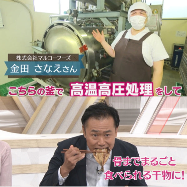 静岡県沼津産 骨まで食べられる干物「まるごとくん」　【5種×2枚 計10枚セット】