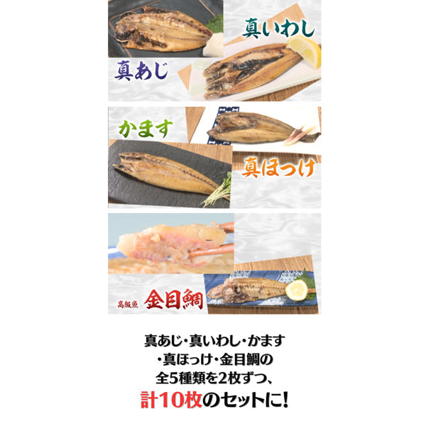 静岡県沼津産 骨まで食べられる干物「まるごとくん」　【5種×2枚 計10枚セット】