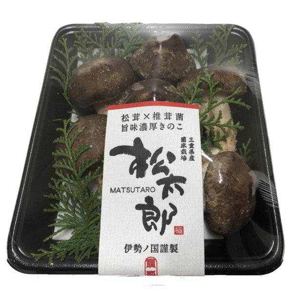 マツタケとシイタケのいいとこどり「松太郎」150g（4本から8本）×2パック