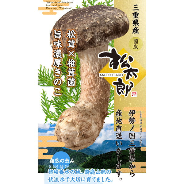 マツタケとシイタケのいいとこどり「松太郎」150g（4本から8本）×2パック