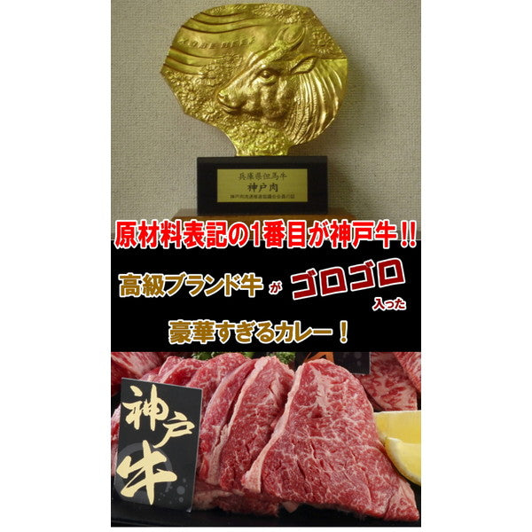 神戸牛カレー 【1人前200g×2食】